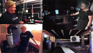 Ekologinen mökki ilman muovia