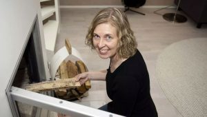 Talo lämpenee 35 eurolla kuussa